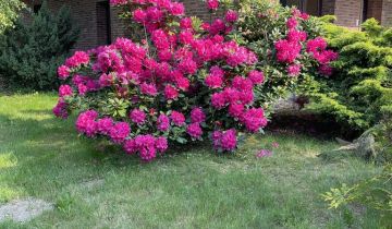 dom wolnostojący, 5 pokoi Bukowice, ul. Złotowska