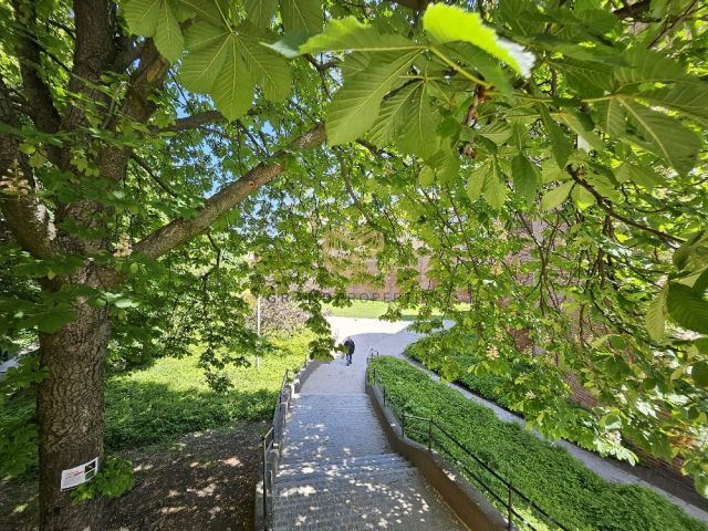 Mieszkanie 3-pokojowe Warszawa Stare Miasto, ul. Podwale. Zdjęcie 25