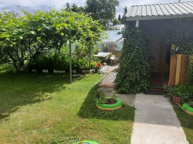 Działka rod Siedlce. Zdjęcie 1