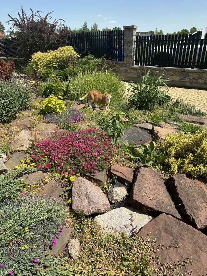 dom wolnostojący, 4 pokoje Huta Żabiowolska, Główna. Zdjęcie 22