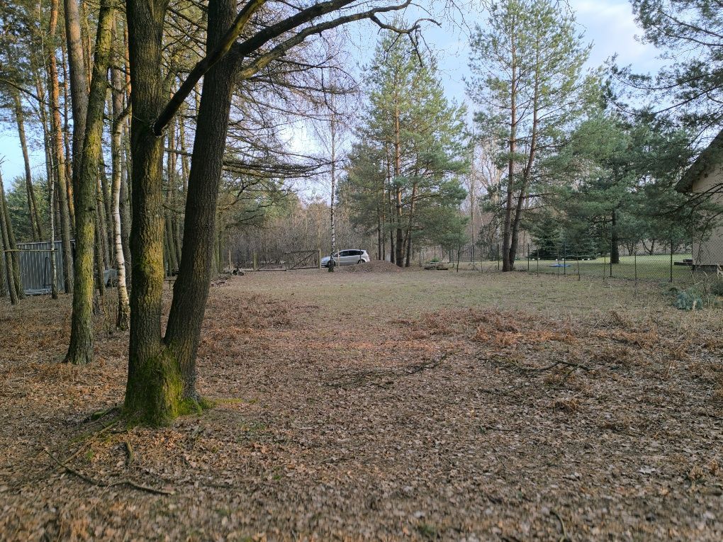 Działka budowlana Jamborek. Zdjęcie 2