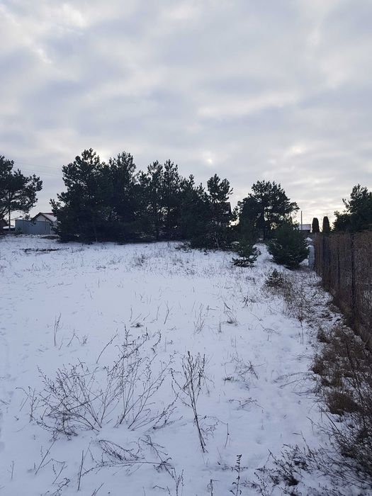 Działka budowlana Paterek, ul. Leśna. Zdjęcie 5