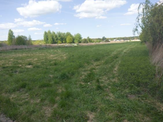 Działka budowlana Zajączków. Zdjęcie 3