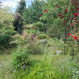 Działka rod Wrocław Krzyki, ul. Bardzka. Zdjęcie 3