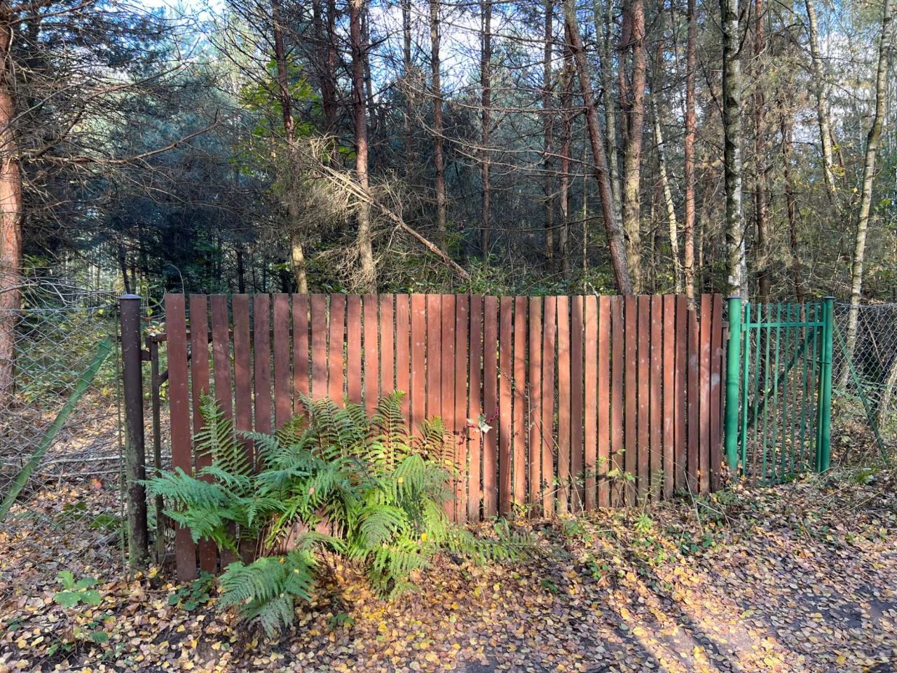 Działka rekreacyjna Rogóźno. Zdjęcie 3