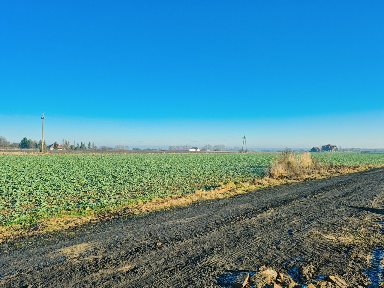 Działka budowlana Brzezina, ul. Lawendowa. Zdjęcie 4