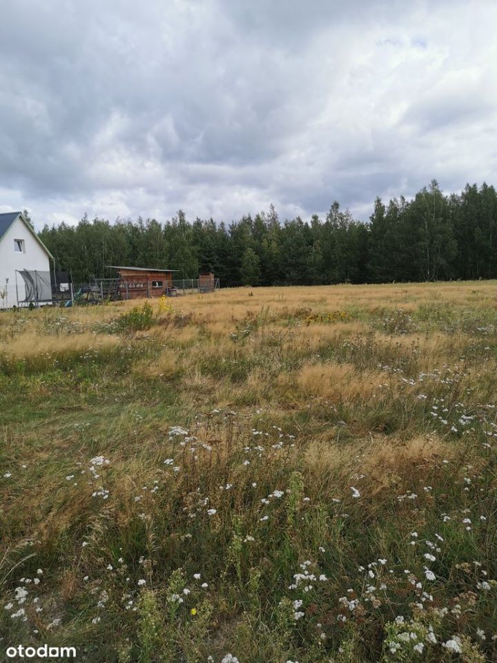 Działka budowlana Świeszewo. Zdjęcie 3