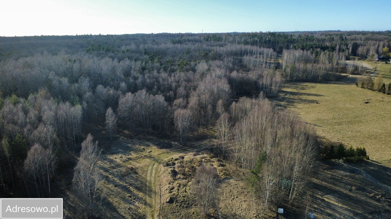 Działka budowlana Salino. Zdjęcie 2