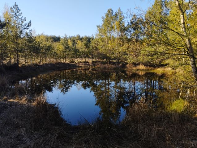 Działka rolna Ostrowo. Zdjęcie 14