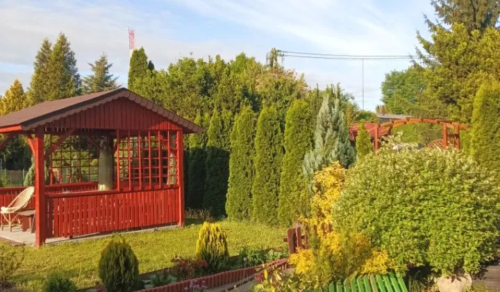 Działka rod Sochaczew Centrum, ul. Warszawska