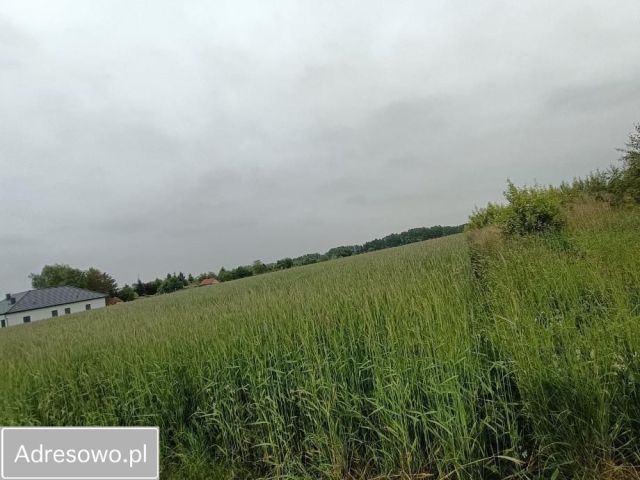 Działka budowlana Turek, ul. Warzywna. Zdjęcie 1
