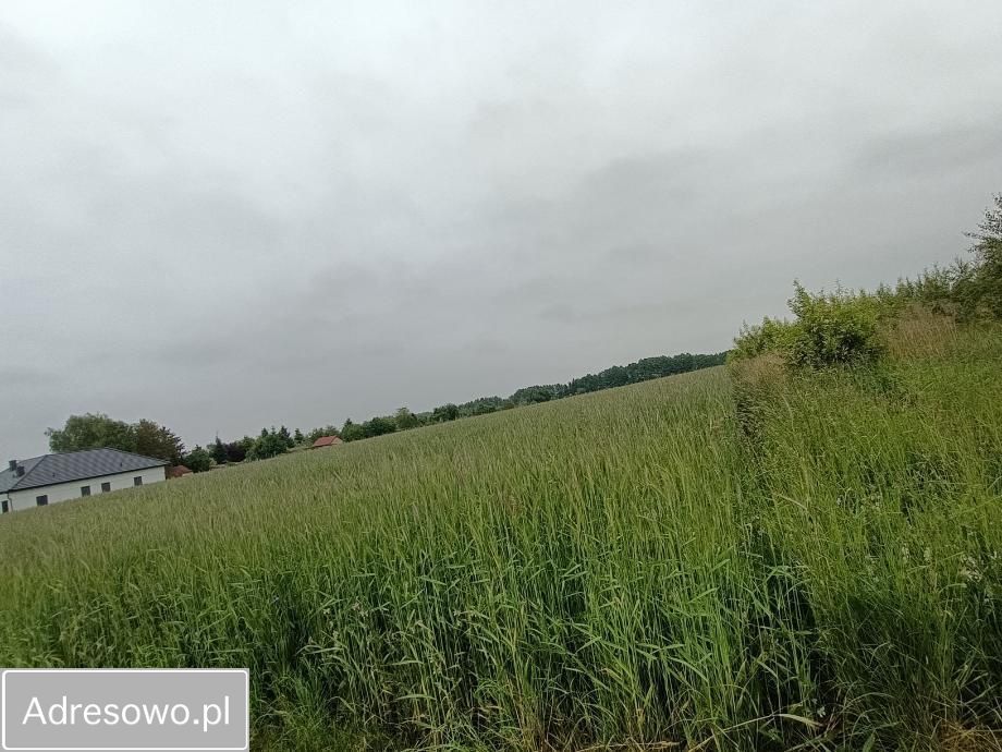 Działka budowlana Turek, ul. Warzywna