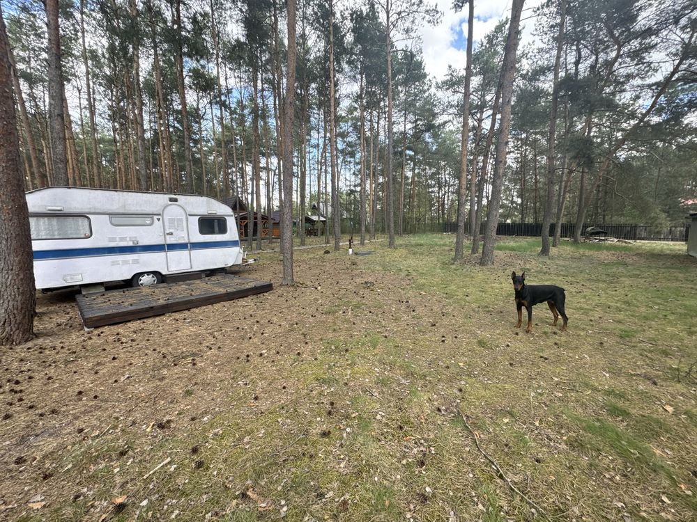 Działka rekreacyjna Biała. Zdjęcie 3