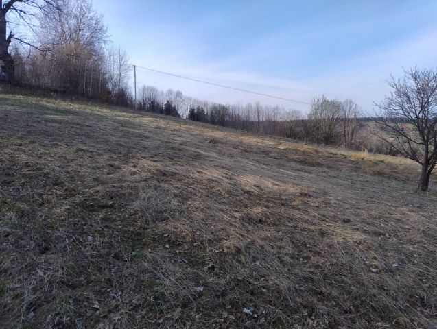 Działka rolna Stańkowa. Zdjęcie 1