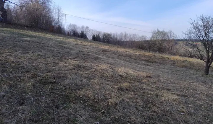 Działka rolna Stańkowa