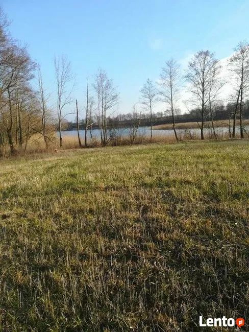 Działka rolna Kaszewo. Zdjęcie 14