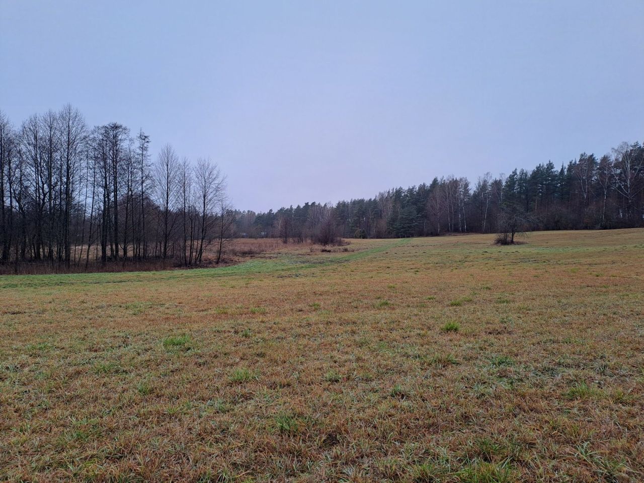 Działka rolno-budowlana Guty Rożyńskie