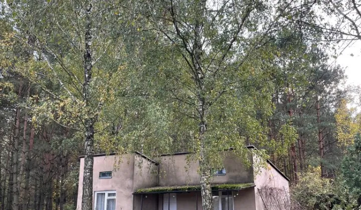 dom wolnostojący, 2 pokoje Józefin