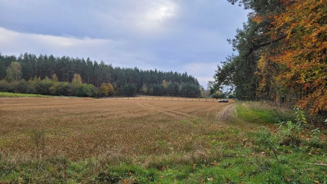 Działka budowlana Rodzone. Zdjęcie 1