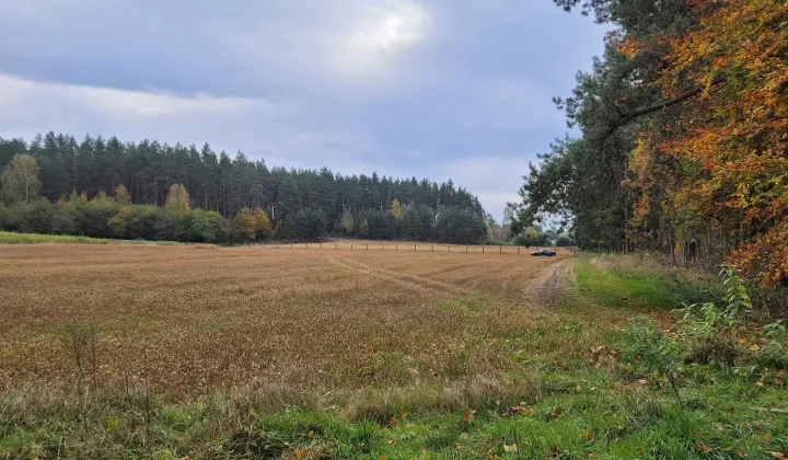 Działka budowlana Rodzone