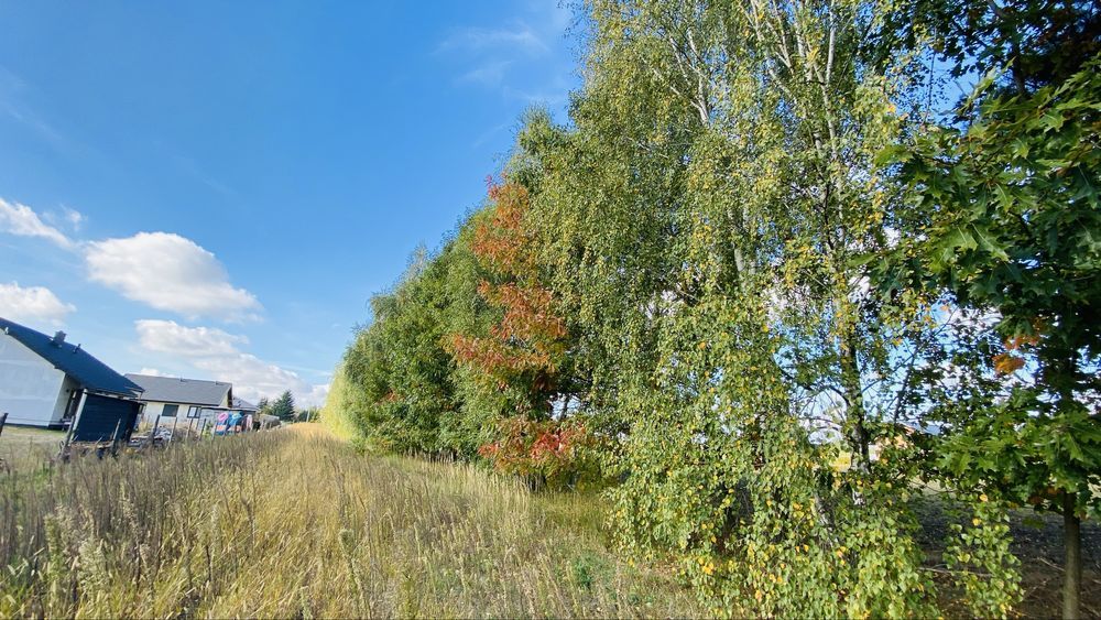 Działka rolna Adamów. Zdjęcie 7