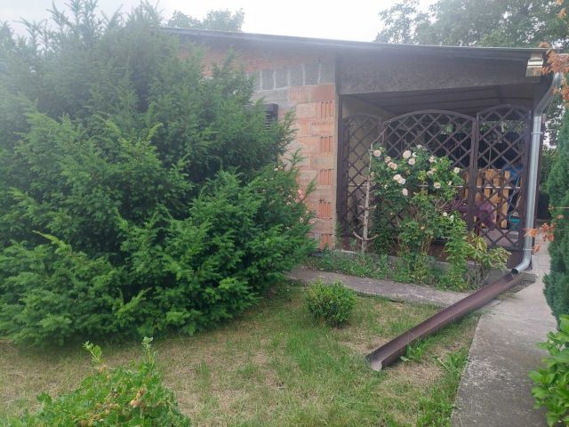 Działka rod Września, ul. Działkowców. Zdjęcie 1
