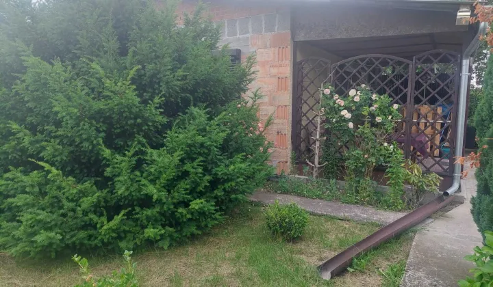 Działka rod Września, ul. Działkowców
