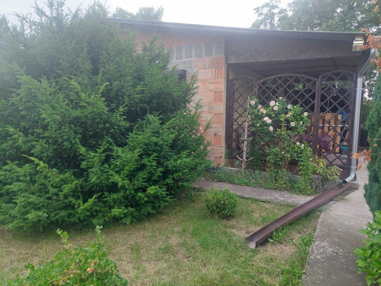 Działka rod Września, ul. Działkowców. Zdjęcie 1