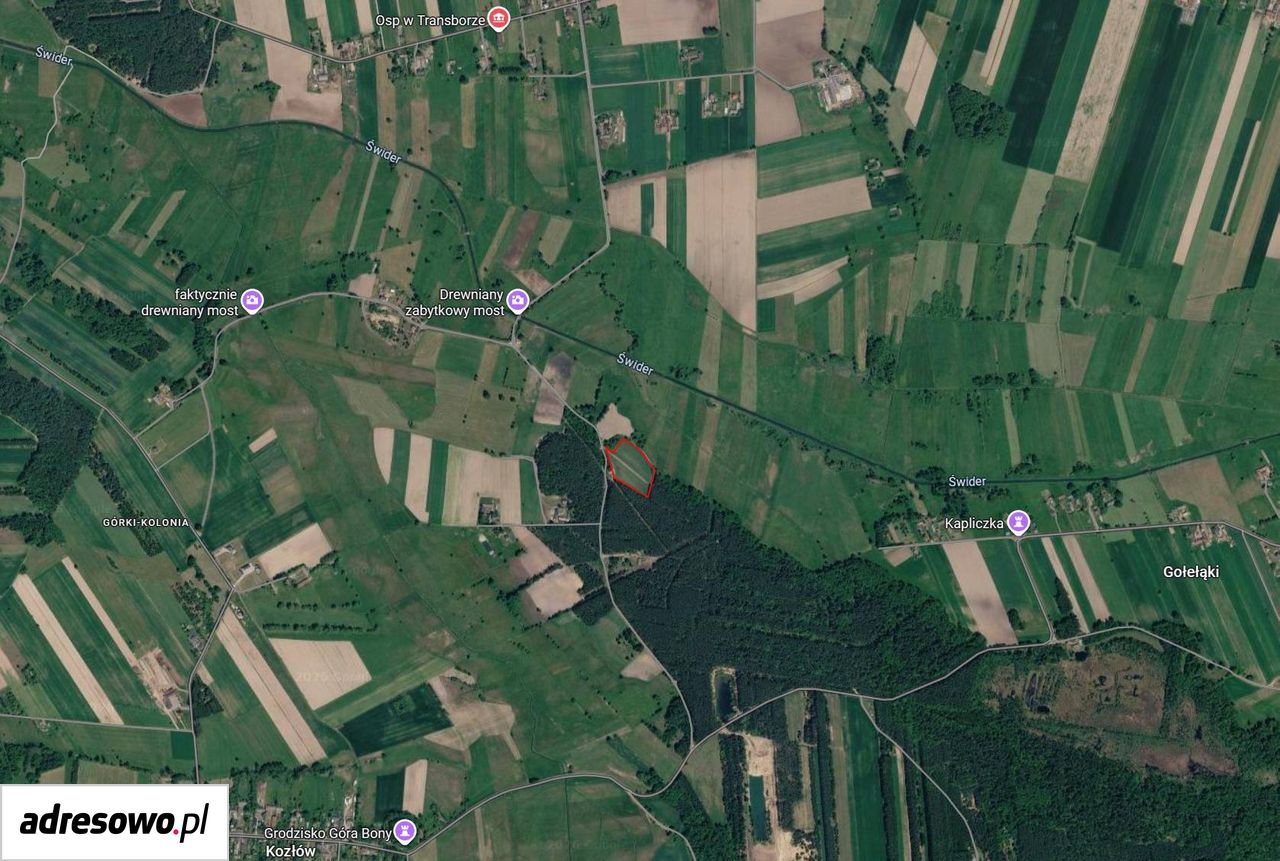 Działka rekreacyjna Kozłów. Zdjęcie 7
