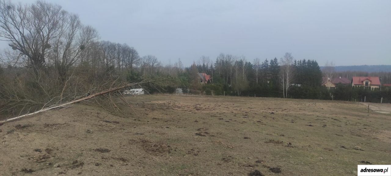 Działka budowlana Lauda. Zdjęcie 4