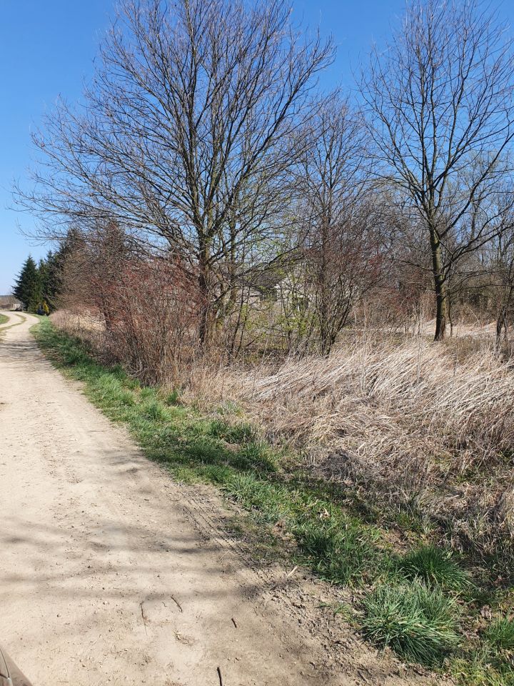 dom wolnostojący, 3 pokoje Okleśna. Zdjęcie 9