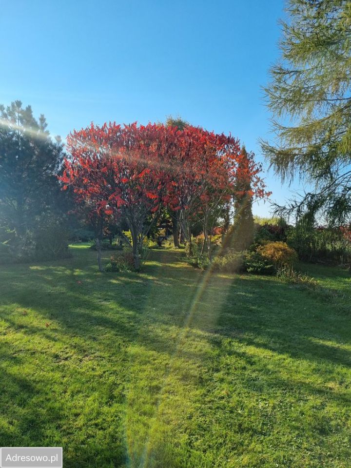 Działka rolno-budowlana Boduszyn. Zdjęcie 7