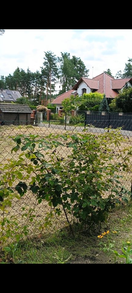 Działka budowlana Szczedrzyk, ul. Leśna. Zdjęcie 4