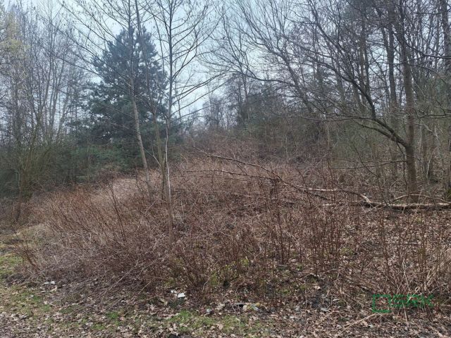 Działka inna Jankowice, ul. Świerklańska. Zdjęcie 7