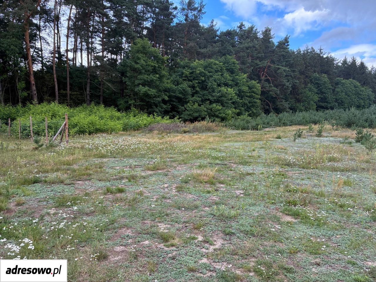 Działka budowlana Ossa. Zdjęcie 9