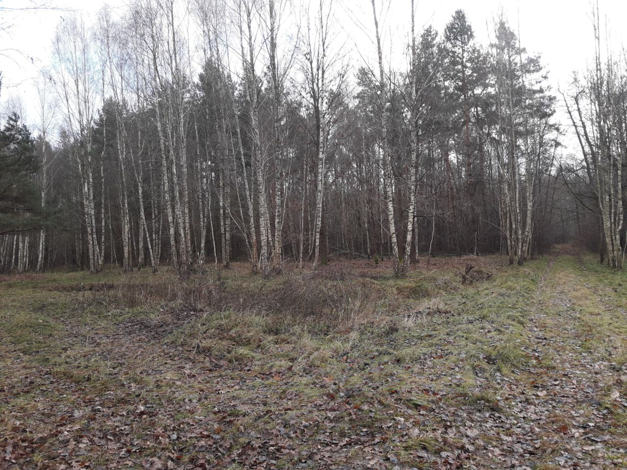 Działka inna Stare Załucze. Zdjęcie 18