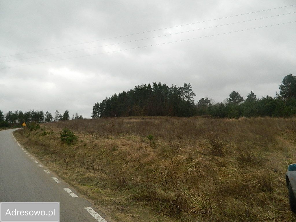 Działka rekreacyjna Cierzpięty. Zdjęcie 16