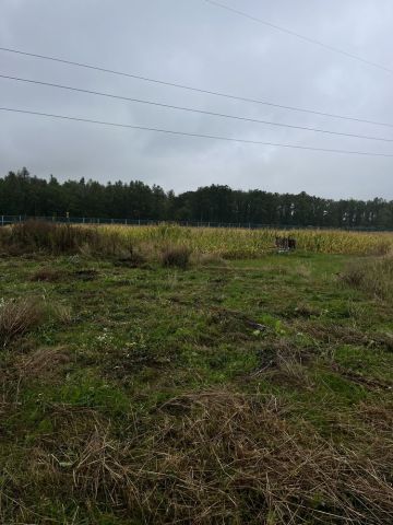 Działka rolno-budowlana Kalinówka. Zdjęcie 1