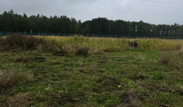 Działka rolno-budowlana Kalinówka