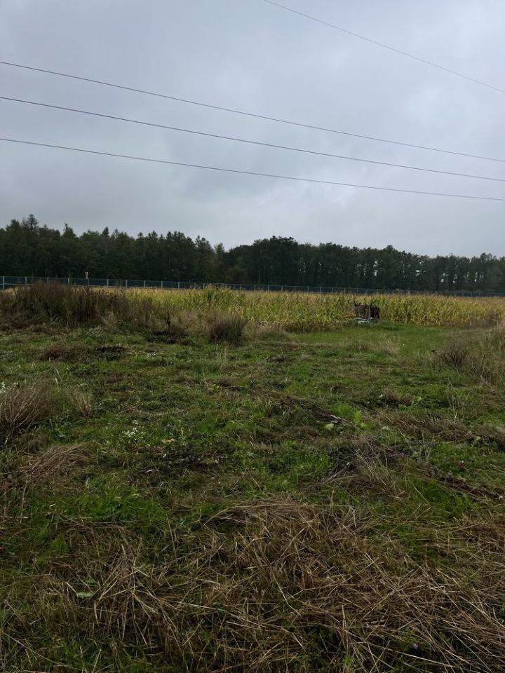 Działka rolno-budowlana Kalinówka