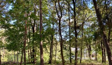 Działka budowlana Sokolniki-Las, ul. Prezydenta Gabriela Narutowicza