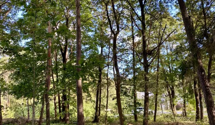 Działka budowlana Sokolniki-Las, ul. Prezydenta Gabriela Narutowicza