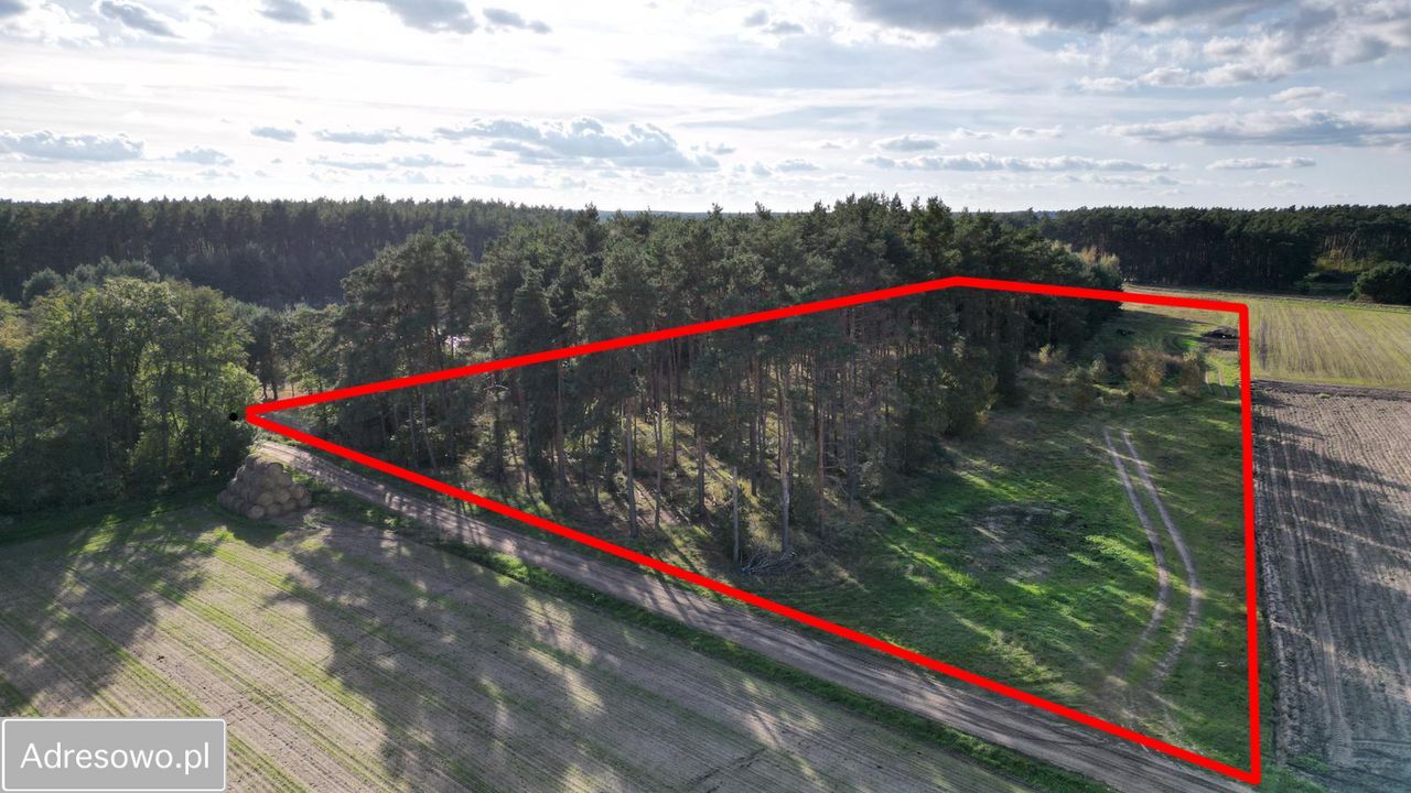 Działka rolna Kębłowo. Zdjęcie 10