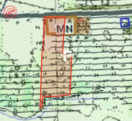 Działka rolna Modrzewo. Zdjęcie 9