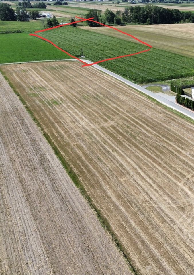 Działka rolna Władysławów Popowski. Zdjęcie 1
