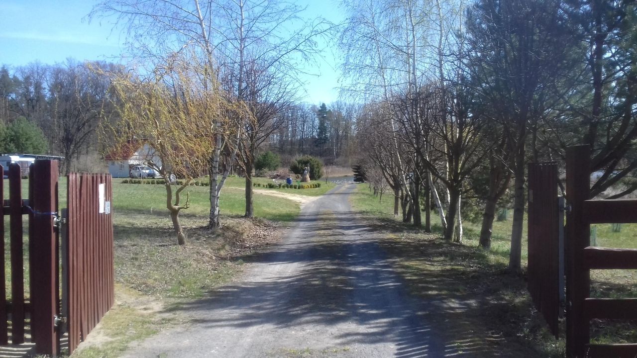 Działka rolna Bledzew Tymiana, ul. Tymiany. Zdjęcie 35