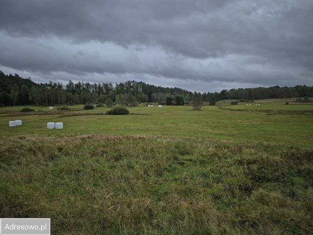 Działka siedliskowa Bukowina, ul. Jeziorna. Zdjęcie 1
