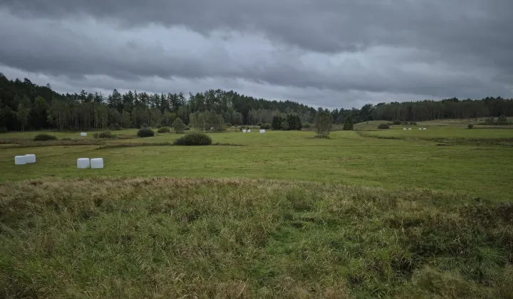 Działka siedliskowa Bukowina, ul. Jeziorna