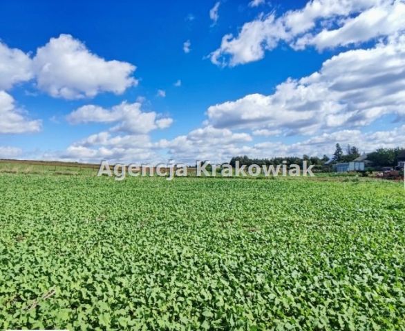 dom wolnostojący, 5 pokoi Skała. Zdjęcie 5