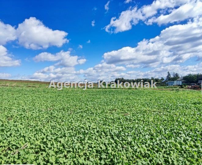 dom wolnostojący, 5 pokoi Skała. Zdjęcie 5